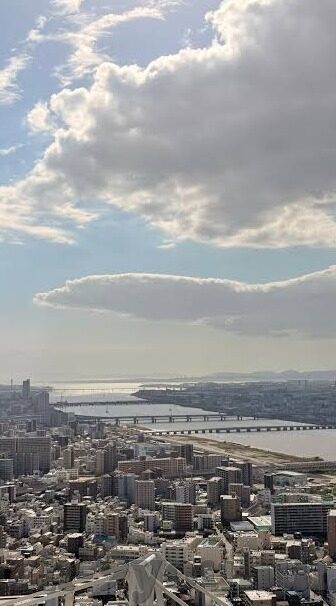 法国杯足球比分-法国杯，比分背后的激情与荣耀