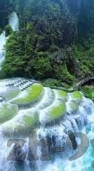 开云平台登录-开云平台，便捷登录，开启云技术服务的门户