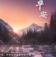 足球比分滚球网-足球比分滚球网，实时数据背后的激情与策略盛宴